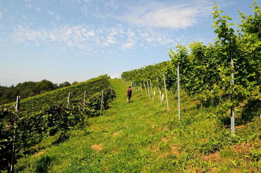 Weingut Winzerzimmer Rothschaedl ลอยช์ชาค ภายนอก รูปภาพ