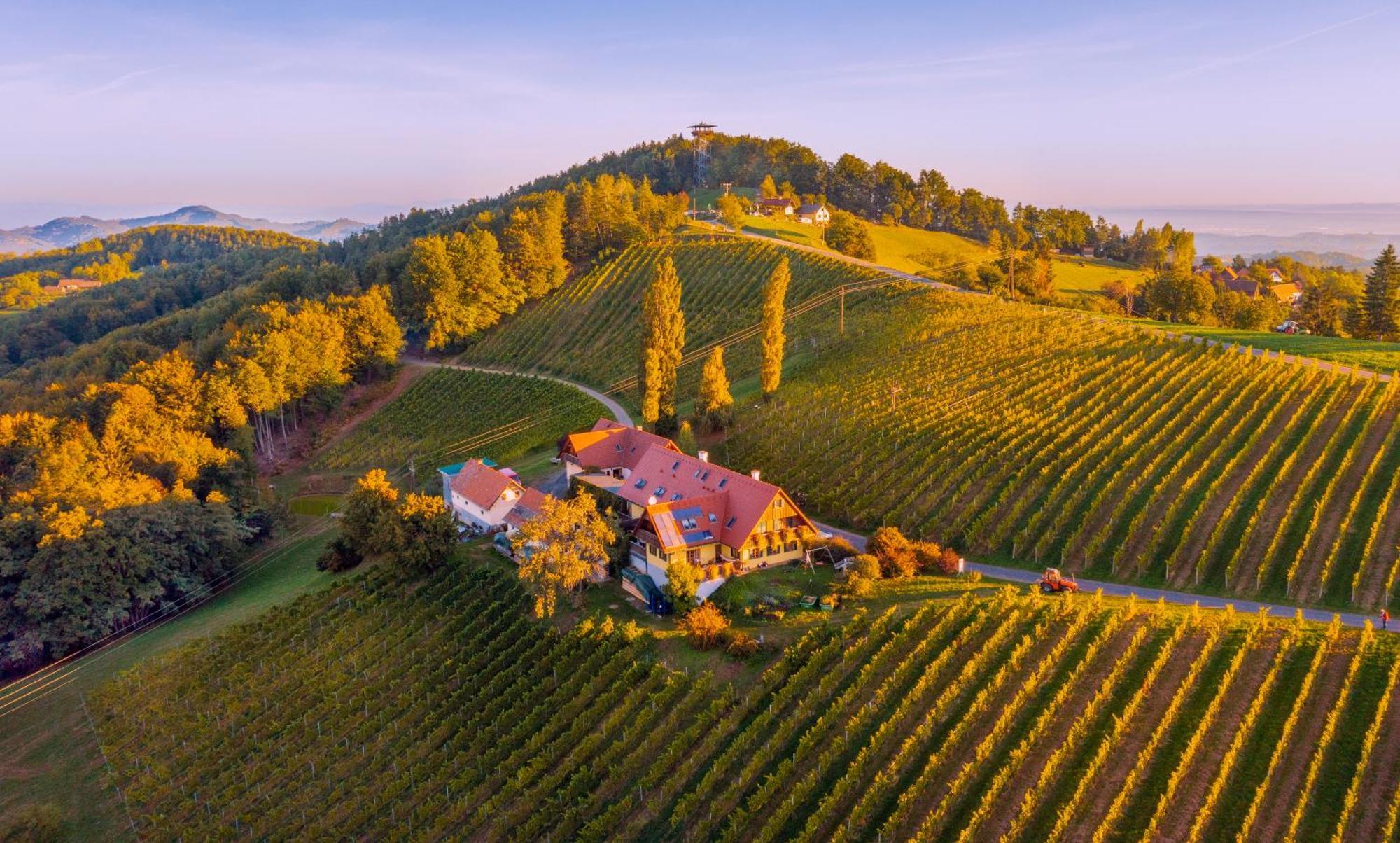 Weingut Winzerzimmer Rothschaedl ลอยช์ชาค ภายนอก รูปภาพ