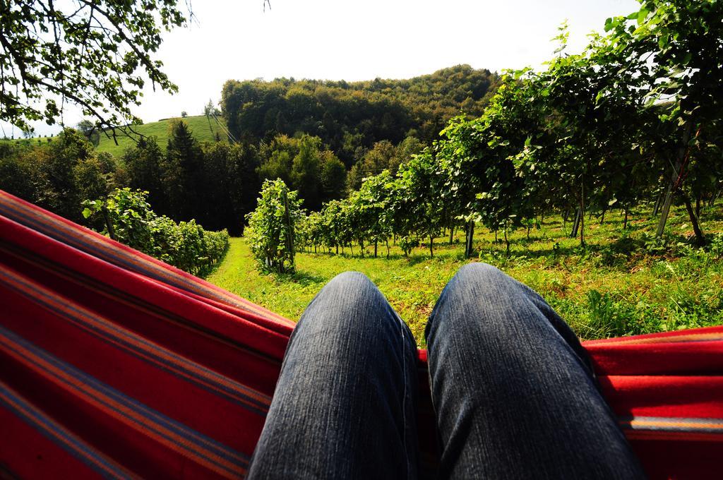 Weingut Winzerzimmer Rothschaedl ลอยช์ชาค ภายนอก รูปภาพ