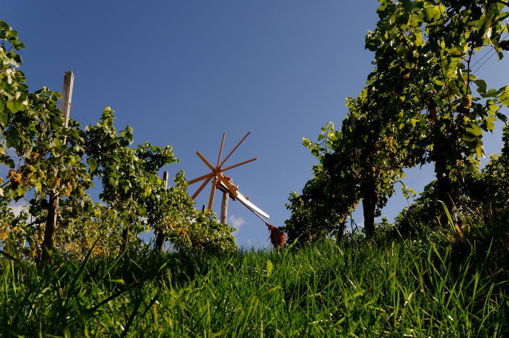 Weingut Winzerzimmer Rothschaedl ลอยช์ชาค ภายนอก รูปภาพ