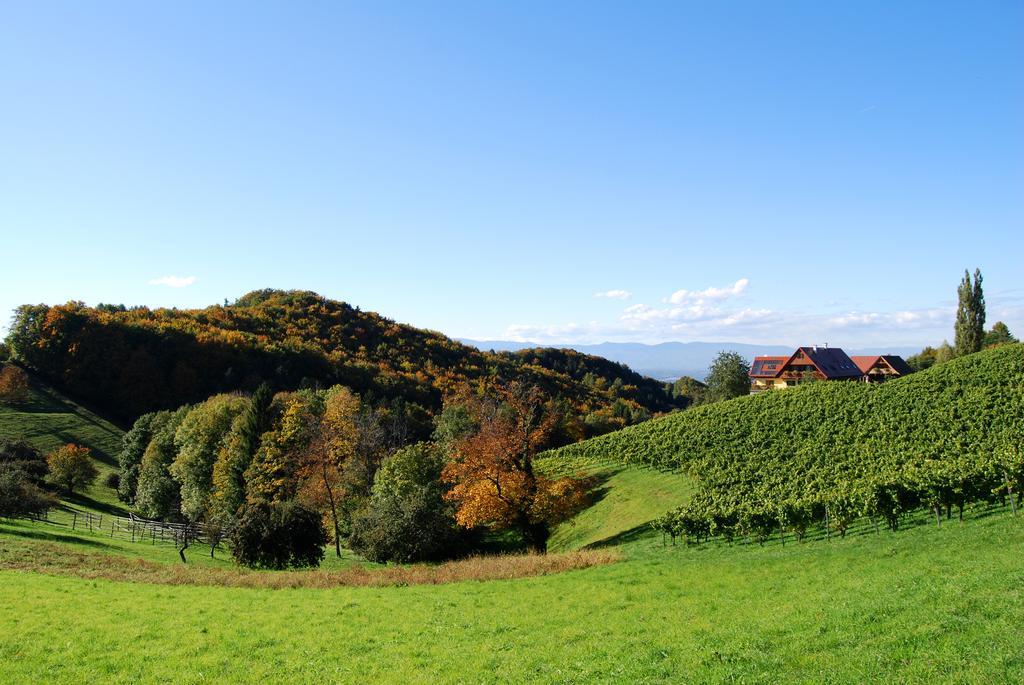 Weingut Winzerzimmer Rothschaedl ลอยช์ชาค ภายนอก รูปภาพ